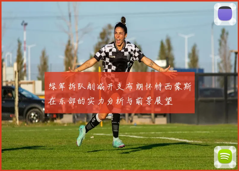 绿军拆队削减开支布朗怀特西蒙斯在东部的实力分析与前景展望